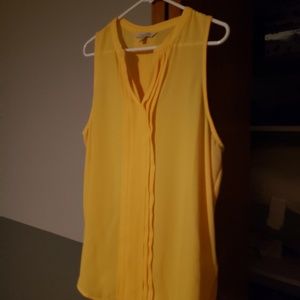 Sleeveless dress shirt